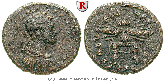 seleukis-und-pieria-commodus-bronze/64991.jpg