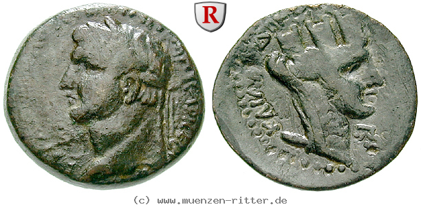seleukis-und-pieria-domitianus-bronze/64967.jpg