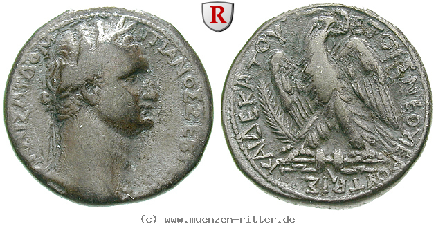 seleukis-und-pieria-domitianus-tetradrachme/erom5539.jpg
