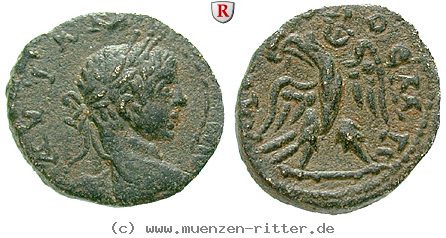 seleukis-und-pieria-elagabal-bronze/37535.jpg