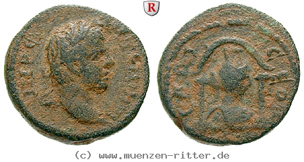 seleukis-und-pieria-elagabal-bronze/39221.jpg