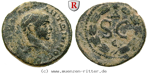 seleukis-und-pieria-elagabal-bronze/39251.jpg