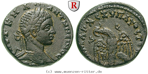 seleukis-und-pieria-elagabal-tetradrachme/64914.jpg