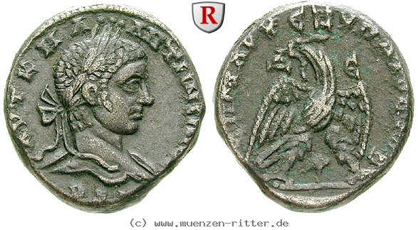 Klicken Sie auf das Bild um es auf Ihrem Rechner zu speichern seleukis-und-pieria-elagabal-tetradrachme/erom5554.jpg