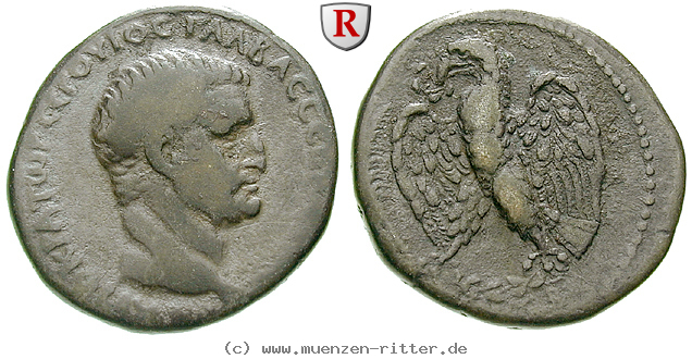 seleukis-und-pieria-galba-tetradrachme/55096.jpg