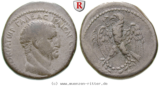 seleukis-und-pieria-galba-tetradrachme/erom3325.jpg