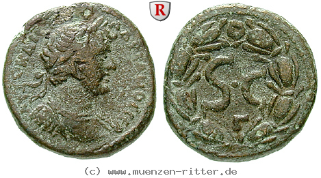 seleukis-und-pieria-hadrianus-bronze/66625.jpg
