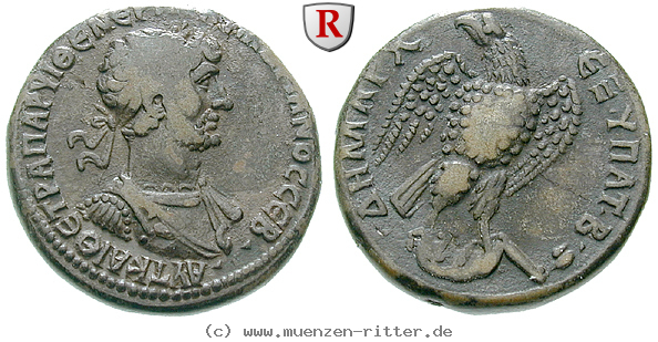 seleukis-und-pieria-hadrianus-tetradrachme/32538.jpg
