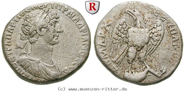 seleukis-und-pieria-hadrianus-tetradrachme/73413.jpg