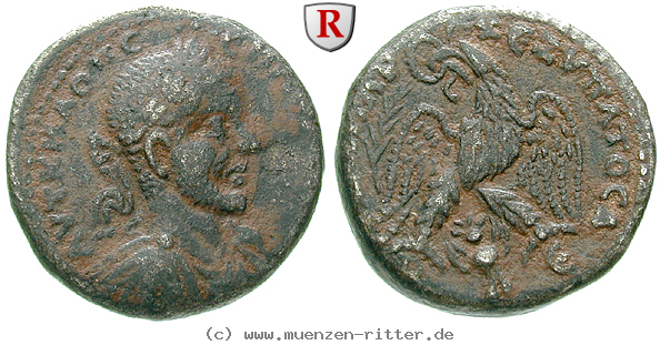 seleukis-und-pieria-macrinus-tetradrachme/64885.jpg