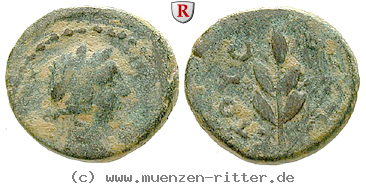 seleukis-und-pieria-nero-bronze/41044.jpg