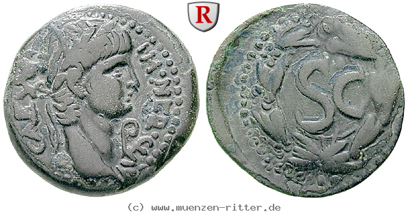 Klicken Sie auf das Bild um es auf Ihrem Rechner zu speichern seleukis-und-pieria-nero-semis/68486.jpg