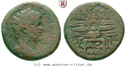 seleukis-und-pieria-septimius-severus-bronze/64992.jpg
