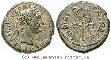 seleukis-und-pieria-traianus-bronze/erom10754.jpg