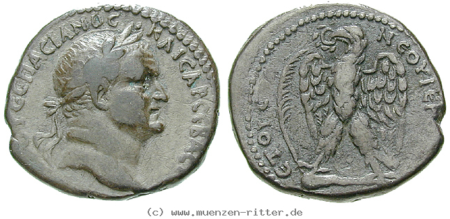 seleukis-und-pieria-vespasianus-tetradrachme/erom8289.jpg