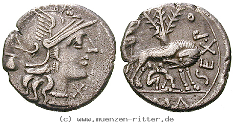 sext-pompeius-fostlus-denar/11272.jpg