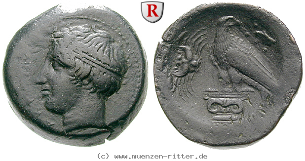 Klicken Sie auf das Bild um es auf Ihrem Rechner zu speichern sizilien-hemilitron/87385.jpg