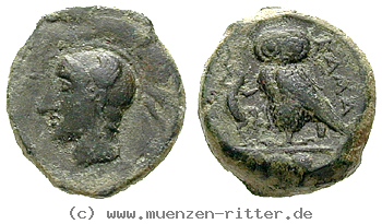 Klicken Sie auf das Bild um es auf Ihrem Rechner zu speichern sizilien-tetras/13572.jpg