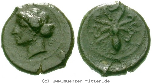 Klicken Sie auf das Bild um es auf Ihrem Rechner zu speichern sizilien-zweite-demokratie-tetras/egri6923.jpg