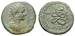 10165 Elagabal, 5 Assaria
