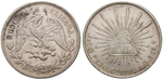 13967 Republik, Peso