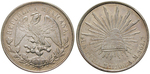 14216 Republik, Peso