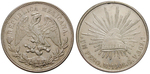 14225 Republik, Peso