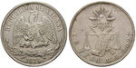 14233 Republik, Peso