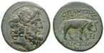 16692 Bronze