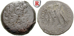 19641 Ptolemaios VI., Bronze