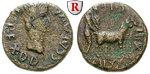 24030 Caligula, Bronze