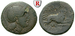 24772 Lysimachos, Bronze