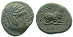 38981 Kassander, Bronze