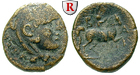 38998 Antigonos Gonatas, Bronze
