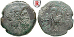 40619 Ptolemaios VIII., Bronze
