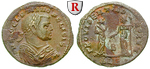 41121 Diocletianus, Halbfollis