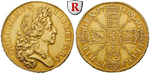 45234 William III., 5 Guineas