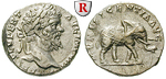 49109 Septimius Severus, Denar