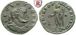 49155 Severus II., Caesar, Follis