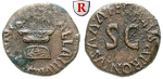 49995 Augustus, Quadrans