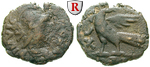 50522 Theoderich I., Follis (40 N...