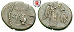 53290 Marcus Antonius, Quinar