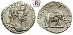 55269 Septimius Severus, Denar