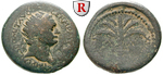 56227 Domitianus, Bronze