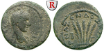 56304 Severus Alexander, Diassari...