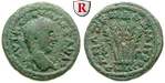 56305 Severus Alexander, Diassari...