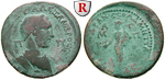 56629 Severus Alexander, Bronze