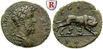 61820 Commodus, Bronze