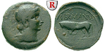 63938 Augustus, Bronze
