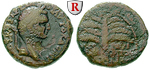 64805 Domitianus, Bronze